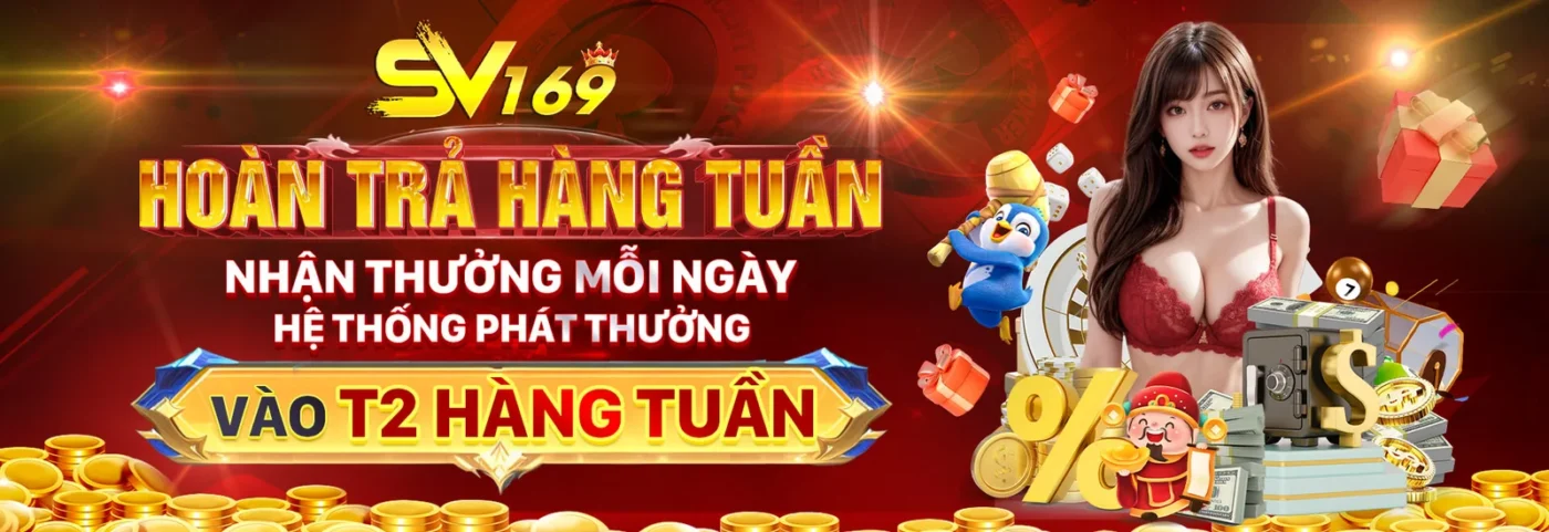 Hoàn-chả-sv169